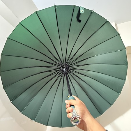২৪ শিকের প্রিমিয়াম ছাতা 002 ( Green Color )